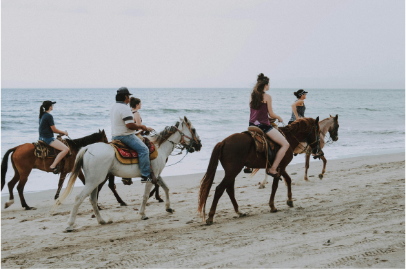 Paseos a caballo