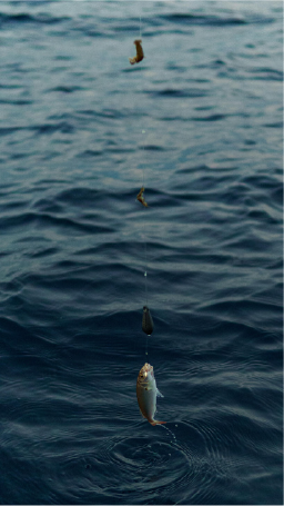 Pesca