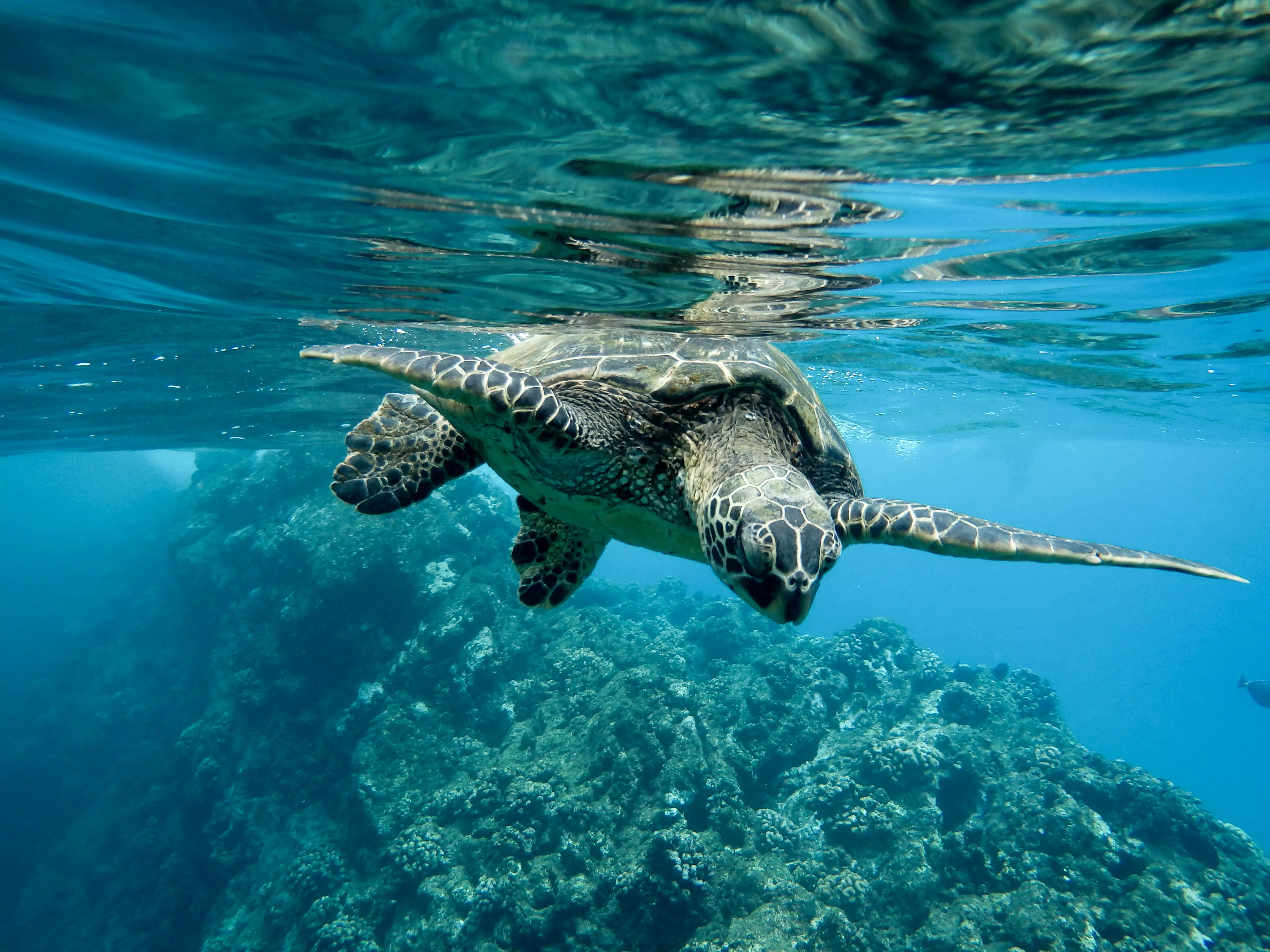 Huatulco: Nature and Life · Villas de Salchi